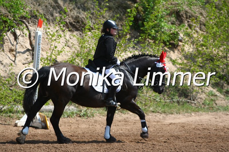 204M2682_Anne_Spring RWB.JPG